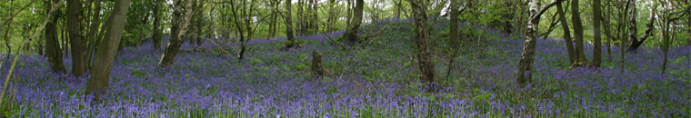Outwoods, Loughborough