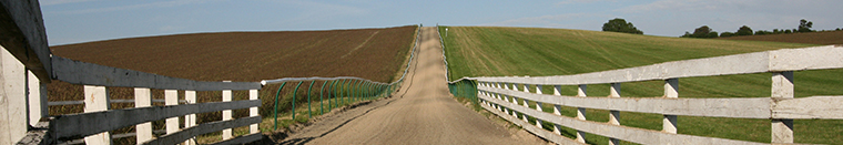 Gallops, Upper Lambourne