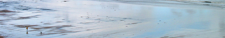 Saltburn beach, Cleveland