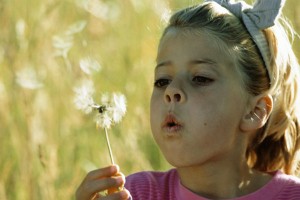 lung-foundation-opt Girl blowing dandelion - emblem of the British Lung Foundation